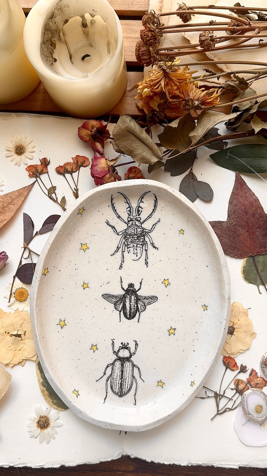 Large Whimsy Bug Dish
